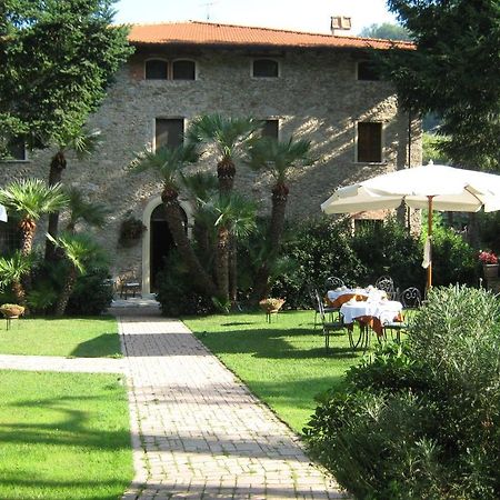 L'Arcadia Guest House Pietrasanta Ngoại thất bức ảnh