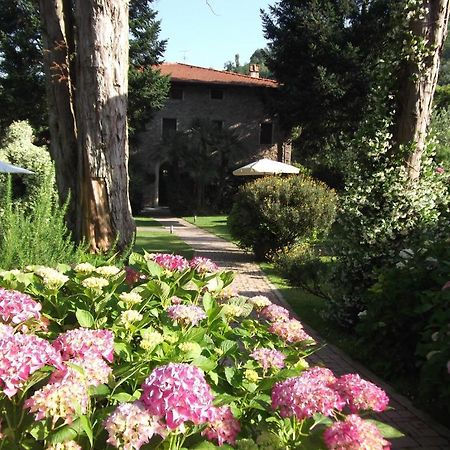 L'Arcadia Guest House Pietrasanta Ngoại thất bức ảnh