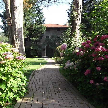 L'Arcadia Guest House Pietrasanta Ngoại thất bức ảnh