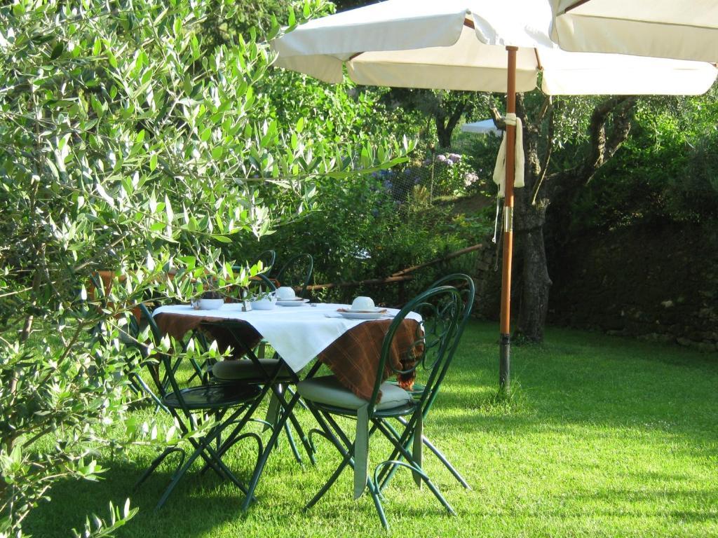 L'Arcadia Guest House Pietrasanta Ngoại thất bức ảnh