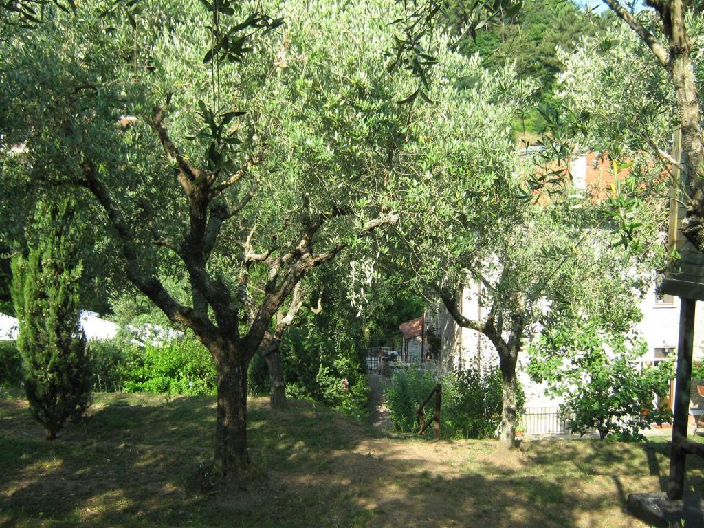 L'Arcadia Guest House Pietrasanta Ngoại thất bức ảnh