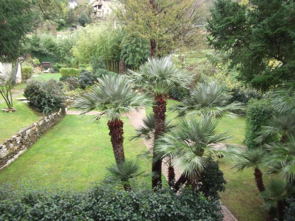 L'Arcadia Guest House Pietrasanta Ngoại thất bức ảnh
