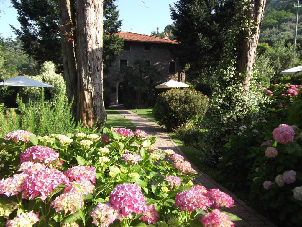 L'Arcadia Guest House Pietrasanta Ngoại thất bức ảnh