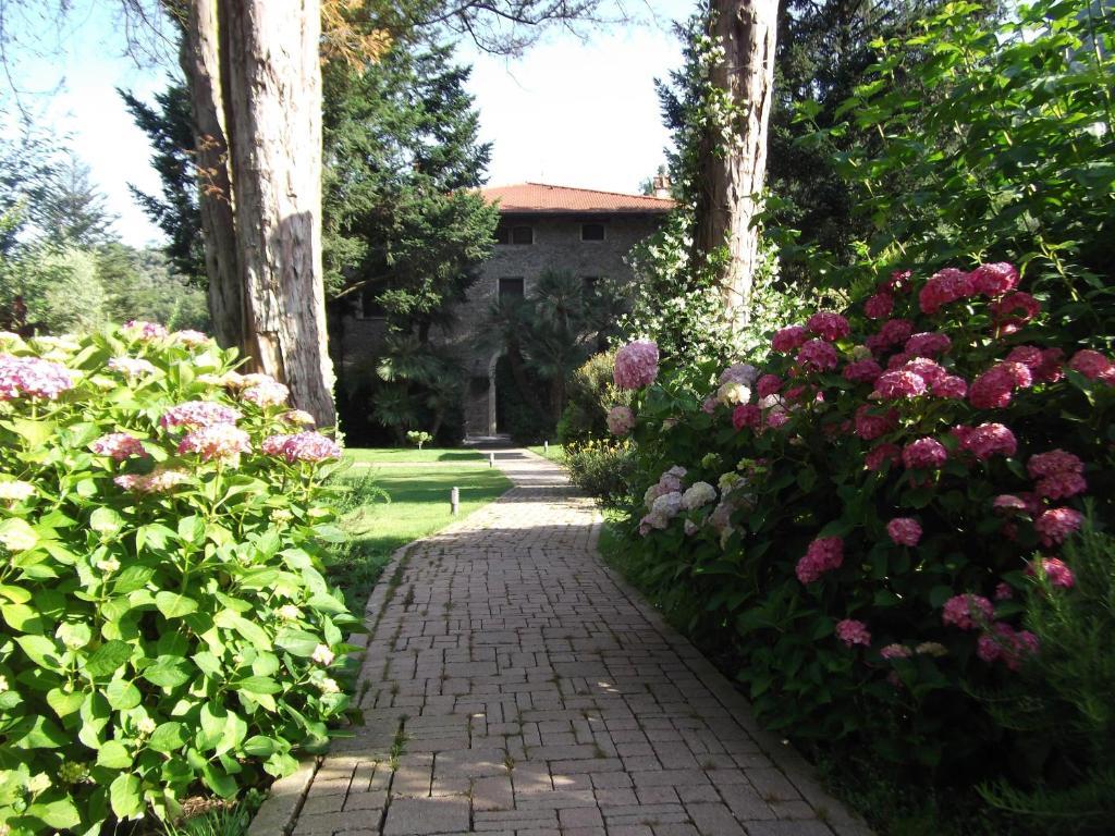 L'Arcadia Guest House Pietrasanta Ngoại thất bức ảnh